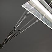 Ricarda Mieth - Drachen